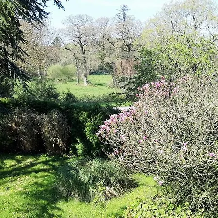 Le Suisse - Bleue Bed & Breakfast 3*