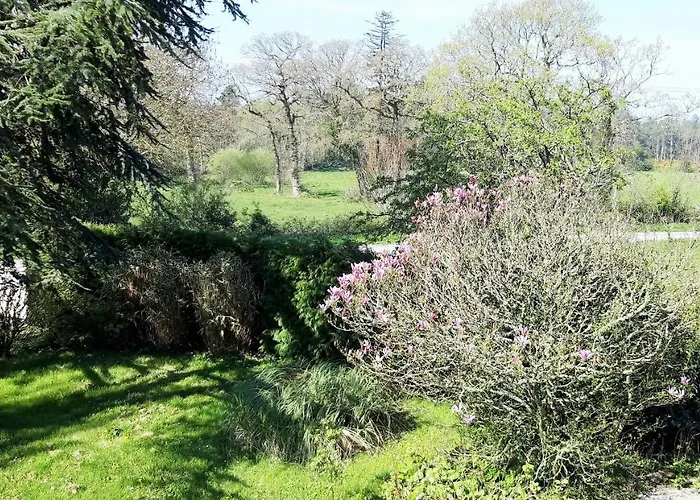 Le Suisse - Bleue Bed & Breakfast 3*